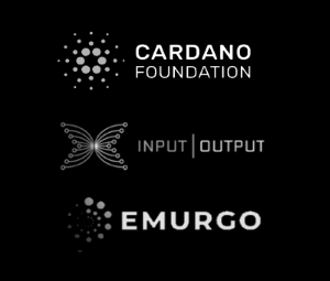 Three Entities supporting the Cardano Blockchain/ADA cryptocurrency are Input Output, Emurgo and the Cardano Foundation.